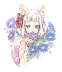 Rule 34 | 1girl, ameiro, animal ears, blue eyes, blunt bangs, child, face, flower, hair ribbon, japanese clothes, kimono, morning glory, open mouth, original, ribbon, short hair, solo, tail, water drop, white hair, wolf ears, wolf tail