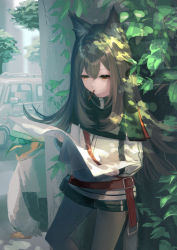 Rule 34 | 1boy, 1girl, animal ears, arknights, bird, black hair, black pantyhose, black shorts, car, dappled sunlight, day, feet out of frame, food, food in mouth, hair between eyes, hemorina, highres, holding, holding paper, id card, jacket, leaf, long hair, long sleeves, motor vehicle, mouth hold, outdoors, pantyhose, pantyhose under shorts, paper, penguin, pocky, shorts, solo focus, sunglasses, sunlight, tail, texas (arknights), the emperor (arknights), white jacket, wolf ears, wolf girl, wolf tail, yellow eyes