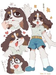 Rule 34 | &gt; &lt;, 1boy, 1other, animal ears, arm up, belt, black eyes, blue footwear, blue shorts, body fur, cheek pinching, child, collared shirt, crying, crying with eyes open, dated, dog boy, dog ears, expressions, fangs, floppy ears, furry, furry male, heart, highres, open mouth, original, pinching, sanjiro (tenshin anman), shirt, short sleeves, shorts, simple background, sleeping, sleeping with eyes open, socks, solo focus, standing, tears, wall-eyed, waving, white background, white shirt