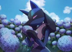 Rule 34 | closed mouth, cloud, commentary request, creatures (company), day, game freak, gen 4 pokemon, highres, holding, lucario, nintendo, outdoors, pokemon, pokemon (creature), sky, smile, solo, spikes, yukifuri tsuyu