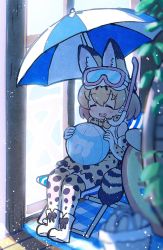 Rule 34 | 1girl, animal ears, ball, bare shoulders, beach chair, beach umbrella, beachball, boots, bow, bowtie, commentary request, elbow gloves, extra ears, footwear bow, gloves, goggles, high-waist skirt, highres, kemono friends, print bow, print bowtie, print gloves, print neckwear, print skirt, print thighhighs, serval (kemono friends), serval print, serval tail, shoes, sitting, skirt, sleeveless, snorkel, solo, tail, tanaka kusao, thighhighs, traditional bowtie, umbrella, zettai ryouiki