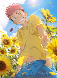 Rule 34 | 1boy, aged down, beitemian, blue pants, brown eyes, brown hair, facial mark, floral background, flower, from below, highres, itadori yuuji, jujutsu kaisen, looking at viewer, male focus, midriff peek, outdoors, pants, petals, pink hair, shirt, short hair, sky, smile, solo, spiked hair, sunflower, sunlight, undercut, whistle, whistle around neck, wind, wind lift, yellow shirt