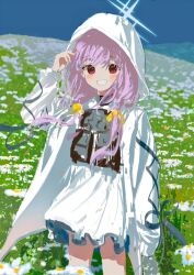 Rule 34 | 1girl, atsuko&#039;s grin (meme), atsuko (blue archive), blue archive, blush, closed mouth, commentary, cowboy shot, day, dress, flower, grey halo, halo, highres, hood, jacket, long hair, long sleeves, looking at viewer, meme, open clothes, open jacket, outdoors, purple hair, red eyes, smile, solo, white dress, white flower, white jacket, x158239