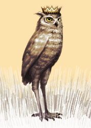 Rule 34 | animal focus, beak, bird, brown fur, crown, full body, kahadu (kawazu), no humans, original, owl, solo, standing, yellow eyes