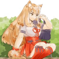 Rule 34 | animal ears, breasts, brown eyes, brown hair, fate/extra ccc fox tail, fate/grand order, fate (series), japanese clothes, long hair, ribbon, skirt, socks, suzuka gozen (fate), tail
