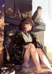 Rule 34 | 1girl, absurdres, animal, barefoot, bell, bird, blush, brown hair, closed mouth, commentary request, green eyes, highres, holding, holding polearm, holding weapon, japanese clothes, jingle bell, kimono, knees up, legs, looking at viewer, mouth hold, naginata, obi, open clothes, original, polearm, revision, sash, short hair, solo, soranagi yuki, stalk in mouth, v-shaped eyebrows, weapon, white kimono