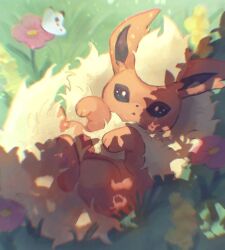 Rule 34 | :o, blurry, bug, butterfly, commentary request, creatures (company), day, flareon, flower, from above, game freak, gen 1 pokemon, grass, highres, insect, looking at viewer, lying, nintendo, no humans, on back, outdoors, pink flower, pokemon, pokemon (creature), shizuki (angcm8611), yellow fur