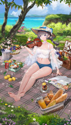Rule 34 | 1girl, absurdres, arm support, bare legs, bare shoulders, barefoot, bicycle, bird, blanket, braid, brown hair, collarbone, detached sleeves, flower, grass, hat, highres, instrument, long hair, maki (user fyjx4337), navel, original, outdoors, picnic, picnic basket, purple eyes, see-through, shadow, shorts, sitting, soles, solo, toes, twin braids, violin, water