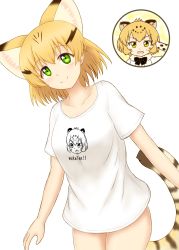 Rule 34 | 10s, 1girl, 2girls, absurdres, animal ears, bad id, bad pixiv id, blonde hair, bow, bowtie, cat ears, collarbone, commentary request, green eyes, highres, jaguar (kemono friends), jaguar ears, kemono friends, multiple girls, naked shirt, print shirt, sand cat (kemono friends), shiraha maru, shirt, short hair, simple background, smile, standing, striped tail, t-shirt, tail