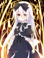 Rule 34 | 1girl, :o, black bow, black dress, blush, bow, brown eyes, commentary request, dress, flower, hair between eyes, hair bow, highres, hoshizora no memoria, long hair, looking at viewer, mare s. ephemeral, parted lips, puffy short sleeves, puffy sleeves, red flower, red rose, rose, short sleeves, sidelocks, silver hair, solo, very long hair, white bow, yuku (kiollion)