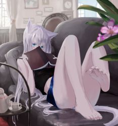 Rule 34 | 1girl, absurdres, animal ears, aqua eyes, barefoot, blush, book, cat ears, cat girl, cat tail, couch, covered mouth, covering face, denim, denim shorts, feet, hair between eyes, highres, long hair, looking at viewer, panties, pantyshot, shorts, soles, solo, tail, tank top, thighs, toes, underwear, white hair