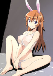 Rule 34 | 1girl, animal ears, barefoot, blue eyes, breasts, caryo, charlotte e. yeager, collarbone, covered erect nipples, crop top, extra ears, female focus, grin, large breasts, long hair, long legs, looking at viewer, nanashino, nipples, orange hair, panties, partially visible vulva, rabbit ears, rabbit girl, see-through, shirt, sitting, smile, soles, solo, strike witches, underwear, v arms, wet, wet clothes, wet shirt, white panties, white shirt, world witches series