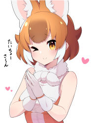 Rule 34 | &gt; o, 1girl, animal ear fluff, animal ears, bad id, bad pixiv id, blush, breasts, brown hair, closed mouth, dhole (kemono friends), gloves, heart, highres, kemono friends, looking at viewer, medium breasts, multicolored hair, one eye closed, own hands together, short hair, sleeveless, smile, solo, takom, translation request, two-tone hair, upper body, white gloves, white hair