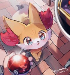 Rule 34 | 1boy, amezawa koma, animal ear fluff, animal focus, artist name, blush, brick floor, calem (pokemon), commentary request, creatures (company), dated, fennekin, game freak, gen 6 pokemon, highres, holding, holding poke ball, looking up, multicolored fur, nintendo, poke ball, poke ball (basic), pokemon, pokemon (creature), pokemon xy, pov, pov hands, red fur, reflective surface, solo focus, white fur, yellow fur