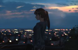 Rule 34 | 1girl, blurry, bokeh, brown hair, city lights, closed mouth, cloud, dark, depth of field, female focus, from behind, hand in own hair, litra (ltr0312), looking away, medium hair, night, original, outdoors, overcast, ponytail, scenery, sky, solo, standing