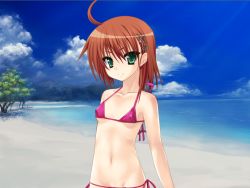 Rule 34 | 1girl, beach, game cg, green eyes, norn, outdoors, sky, solo, swimsuit