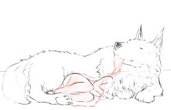 Rule 34 | 1girl, blanket, breasts, cleavage, cuddling, djayo, fetal position, lying, monochrome, mouth hold, nude, on side, original, sketch, sleeping, smile, spot color, wolf