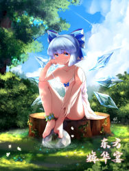 Rule 34 | 1girl, bare arms, bare legs, bare shoulders, barefoot, bing (01969), blue bow, blue eyes, blue flower, blue hair, blue sky, blush, bow, bug, butterfly, camisole, chinese commentary, chinese text, cirno, cloud, commentary request, dated, day, flower, full body, grass, hair bow, hand on own cheek, hand on own face, hand on own leg, hand up, head rest, highres, ice, ice wings, insect, outdoors, short hair, sideways glance, signature, sitting, sky, solo, strap slip, touhou, translation request, tree, wings