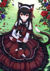 Rule 34 | 1girl, animal, animal ear fluff, animal ears, black hair, bow, cat, cat ears, cat girl, cat tail, character request, copyright request, dress, flower, frilled dress, frills, gothic lolita, hair bow, highres, holding, holding animal, holding cat, lolita fashion, long hair, red dress, red eyes, rose, shibanme tekikumo, sitting, solo, tail, white dress