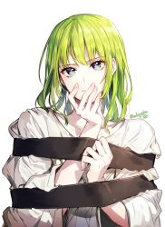 Rule 34 | 1boy, androgynous, aqua eyes, covering own mouth, ede, enkidu (fate), fate/grand order, fate (series), green hair, hand over own mouth, highres, long sleeves, looking at viewer, male focus, multicolored eyes, parted lips, purple eyes, restrained, robe, simple background, smile, solo, upper body, white background, white robe