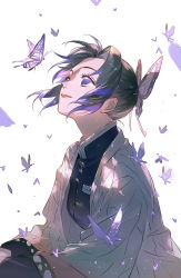 Rule 34 | 1girl, black hair, breasts, bug, butterfly, butterfly hair ornament, buttons, dappled sunlight, glint, hair ornament, haori, happy, insect, japanese clothes, kimetsu no yaiba, kochou shinobu, long sleeves, looking up, maosen, purple eyes, purple hair, red lips, smile, solo, sunlight, uniform, white background