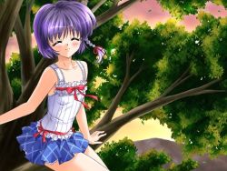Rule 34 | 1girl, ahoge, arm support, artist request, bed, bell, blue skirt, blush, bow, braid, censored, character request, closed eyes, collarbone, dusk, female focus, flat chest, game cg, hair bell, hair ornament, hair ribbon, in tree, jingle bell, looking at viewer, mountain, pale skin, plaid, plaid skirt, purple hair, red bow, red ribbon, ribbon, shirt, short hair, sitting, skirt, sky, smile, solo focus, tank top, thighs, tree, white shirt