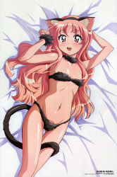 1girl, absurdres, animal ears, bra, cat ears, cat lingerie, cat tail, comp h&#039;s, company name, copyright name, flat chest, fujii masahiro, highres, long hair, louise francoise le blanc de la valliere, magazine scan, meme attire, official art, panties, scan, solo, tail, underwear, underwear only, zero no tsukaima