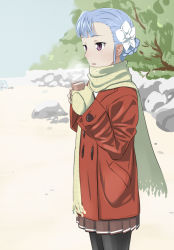 Rule 34 | 10s, 1girl, black pantyhose, blue hair, braid, buttons, coat, double-breasted, fin e ld si laffinty, flower, french braid, hair flower, hair ornament, pantyhose, purple eyes, rinne no lagrange, sanjou (weekly10), scarf, solo, weekly10, winter clothes