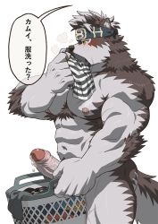 Rule 34 | 1boy, abs, ainu clothes, animal ears, bara, basket, blush, boxers, chest hair, completely nude, erection, feet out of frame, foreskin, from side, furry, furry male, grey fur, grey hair, headband, highres, holding, holding basket, horkeu kamui, implied yaoi, large pectorals, male focus, male underwear, unworn male underwear, muscular, muscular male, navel, nipples, nude, pectorals, penis, precum, rossciaco, scar, scar on chest, short hair, smelling, smelling clothes, smelling underwear, solo, stomach, striped, tail, thick thighs, thighs, tokyo houkago summoners, translation request, two-tone fur, uncensored, underwear, veins, veiny penis, white fur, white male underwear, wolf boy, wolf ears, wolf tail, yellow eyes