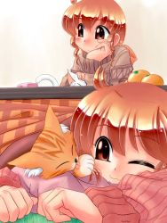 Rule 34 | 2girls, cat, kotatsu, kotetsu, multiple girls, original, siblings, sisters, table, zan