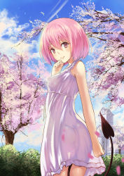 Rule 34 | 10s, 1girl, bad id, bad pixiv id, blush, breasts, cherry blossoms, day, demon tail, dress, highres, looking at viewer, momo velia deviluke, park, pink eyes, pink hair, purple eyes, short hair, sky, small breasts, solo, spring (season), sundress, tail, to love-ru, to love-ru darkness, tree, yizhirenben