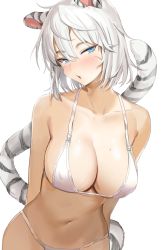 Rule 34 | 1girl, animal ears, arms behind back, bare arms, bare shoulders, blue eyes, bra, breasts, cleavage, collarbone, covered erect nipples, freng, half-closed eyes, hoyoung (maplestory), large breasts, looking at viewer, maplestory, navel, original, panties, parted lips, scar, scar on face, short hair, simple background, solo, stomach, string bra, string panties, sweat, tail, tiger ears, tiger girl, tiger tail, underwear, underwear only, upper body, white background, white bra, white hair, white panties