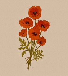 Rule 34 | bouquet, commentary, commission, english commentary, flower, grey background, highres, leaf, libbyframe, no humans, original, plant, poppy (flower), red flower, signature, simple background, still life