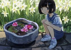 Rule 34 | 1girl, absurdres, bare arms, bare legs, black hair, blue eyes, blue sailor collar, blue skirt, blush, bob cut, cobblestone, commentary, commission, dot nose, flower, flower on liquid, highres, lily (flower), lily pad, looking at viewer, original, outdoors, pink flower, pixiv commission, pleated skirt, pot, sailor collar, school uniform, serafuku, shirt, shoes, short hair, short sleeves, skirt, smile, sneakers, solo, squatting, tagme, water lily flower, white flower, white footwear, white shirt, zinbei