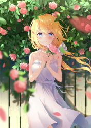 Rule 34 | 1girl, bai-hyacinth, blonde hair, blue eyes, blush, bow, dress, falling petals, fence, flower, hair between eyes, hair bow, hands on own chest, highres, holding, holding flower, long hair, looking at viewer, low twintails, original, outdoors, petals, ribbon, rose, rose bush, smile, solo, sundress, twintails, wind