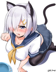 Rule 34 | 1girl, all fours, animal ears, black pantyhose, blue eyes, bowl, breasts, cat ears, cat tail, grey hair, hair ornament, hair over one eye, hairclip, hamakaze (kancolle), highres, implied tail plug, kantai collection, large breasts, lingerie (aki3240), neckerchief, pantyhose, paw pose, pet bowl, pleated skirt, school uniform, serafuku, short hair, short sleeves, skirt, solo, tail, yellow neckerchief