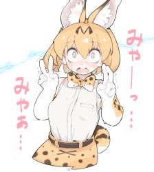 Rule 34 | aioi u, animal ears, animal print, belt, blush, bow, bowtie, double v, japanese text, kemono friends, leopard ears, leopard print, leopard tail, peace symbol, serval (kemono friends), simple background, sleeveless, solo, surprised, tagme, tail, traditional bowtie, translation request, v, white background