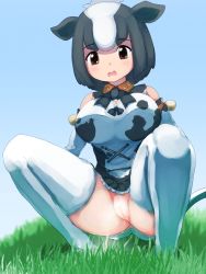Rule 34 | 1girl, absurdres, animal ears, cleft of venus, cow girl, cow tail, highres, holstein friesian cattle (kemono friends), kemono friends, looking at viewer, looking down, no panties, outdoors, peeing, pussy, solo, squatting, tail, thighhighs, uncensored, y-san (yoshino yuuri)