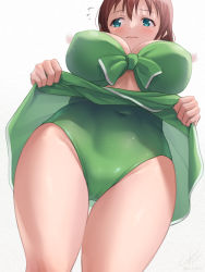 Rule 34 | 1girl, aqua eyes, bikini, bikini skirt, blush, braid, breasts, brown hair, cameltoe, cleavage, closed mouth, clothes lift, covered navel, embarrassed, emma verde, flying sweatdrops, freckles, from below, front-tie bikini top, front-tie top, frown, green bikini, highres, holding, holding clothes, holding skirt, large breasts, layered clothes, layered swimsuit, lifted by self, looking away, looking to the side, love live!, love live! nijigasaki high school idol club, one-piece swimsuit, revision, signature, simple background, skirt, skirt lift, solo, standing, swimsuit, thick thighs, thighs, twin braids, twintails, upskirt, wavy mouth, white background, zinzen