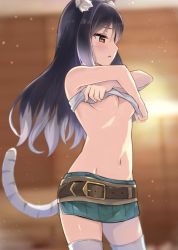 Rule 34 | 1girl, absurdres, animal ears, aqua skirt, belt, belt buckle, black hair, blurry, blurry background, breasts, brown belt, brown eyes, buckle, clothes lift, gradient hair, groin, highres, lifting own clothes, long hair, miniskirt, multicolored hair, navel, open mouth, pinky iwata, princess connect!, shiori (princess connect!), shirt, shirt lift, side slit, silver hair, skirt, sleeveless, sleeveless shirt, small breasts, solo, standing, tail, thighhighs, tiger ears, tiger tail, underboob, undressing, white shirt, white thighhighs