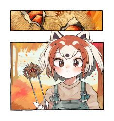Rule 34 | 1girl, absurdres, animal ears, autumn, autumn leaves, blush, brown eyes, brown hair, chestnut, extra ears, grey hair, highres, kanmoku-san, kemono friends, looking at viewer, multicolored hair, nature, outdoors, overalls, red panda (ex) (kemono friends), red panda ears, red panda girl, short hair, solo, sweater, two-tone hair