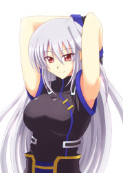 Rule 34 | 1girl, armpits, arms up, azumaya hironaru, bare shoulders, breasts, gloves, large breasts, long hair, lyrical nanoha, mahou shoujo lyrical nanoha, mahou shoujo lyrical nanoha a&#039;s, mahou shoujo lyrical nanoha the movie 2nd a&#039;s, reinforce, silver hair, single hair intake, smile, solo