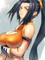 Rule 34 | 00s, 1girl, armlet, black hair, breasts, cleavage, cleavage cutout, clothing cutout, dungeon and fighter, fighter (dungeon and fighter), fumio (rsqkr), gloves, huge breasts, long hair, ponytail, red eyes, revealing clothes, ryunmei, solo