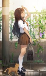 Rule 34 | 1girl, absurdres, arm up, bag, black footwear, brown eyes, brown hair, brown neckwear, brown sailor collar, brown skirt, cat, commentary, dampi, english commentary, flower, from side, full body, highres, holding, holding bag, kneehighs, loafers, long hair, looking away, open mouth, original, outdoors, parted lips, plant, pleated skirt, railing, rain, ripples, sailor collar, school bag, school uniform, serafuku, shirt, shoes, sidewalk, skirt, socks, solo, standing, uniform, utility pole, vines, white shirt, white socks
