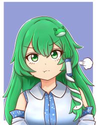 Rule 34 | 1girl, :t, absurdres, bare shoulders, blue background, border, breasts, collared shirt, cyczen, detached sleeves, frog hair ornament, green eyes, green hair, hair between eyes, hair ornament, hair tubes, highres, kochiya sanae, long hair, looking at viewer, medium breasts, outline, outside border, pout, shirt, sidelocks, simple background, snake hair ornament, solo, touhou, upper body, v-shaped eyebrows, white border, white outline, white shirt