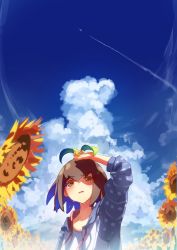 Rule 34 | 1girl, aircraft, airplane, brown hair, contrail, day, eva mashiro, eva mashiro (vtuber), flower, grey jacket, highres, hood, hooded jacket, hoodie, indie virtual youtuber, jacket, long sleeves, open mouth, outdoors, shading eyes, shirt, sky, solo, sprout on head, sunflower, upper body, v-shaped eyebrows, virtual youtuber, white shirt, yellow eyes