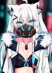 Rule 34 | 1girl, ahoge, animal ears, bad id, bad pixiv id, black bra, black choker, blue eyes, blurry, blurry background, bra, braid, breasts, choker, cleavage, clothes writing, coat, commentary, covered mouth, dog tags, eyelashes, fox ears, gas mask, hair between eyes, hair ornament, hairclip, highres, hololive, ishiusu, jewelry, lace, lace-trimmed bra, lace trim, long hair, looking at viewer, mask, medium breasts, necklace, open clothes, open coat, shirakami fubuki, shirakami fubuki (fubukitek), side braid, solo, underwear, upper body, virtual youtuber, white coat, white hair