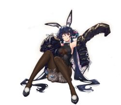 Rule 34 | 1girl, ;q, allen m. sumner (azur lane), allen m. sumner (charming rabbit) (azur lane), animal, animal ears, armpits, arms up, ass, azur lane, bare shoulders, black footwear, black hair, black jacket, black leotard, braid, braided bun, breasts, brown pantyhose, cat, closed mouth, clothing cutout, double bun, fake animal ears, hair bun, highres, jacket, knees up, leotard, long hair, long sleeves, looking at viewer, medium breasts, nagu, off shoulder, official art, on floor, one eye closed, open clothes, open jacket, pantyhose, playboy bunny, rabbit ears, shoes, sitting, smile, solo, tongue, tongue out, transparent background, twintails, underboob cutout, very long hair