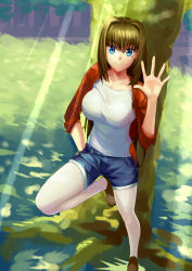 1girl absurdres against_tree alternate_costume aozaki_aoko blue_eyes blurry blurry_background brown_footwear brown_hair cqqz0707 denim denim_shorts female_focus grass highres light_rays looking_at_viewer mahou_tsukai_no_yoru pantyhose pantyhose_under_shorts shirt shorts smile solo standing standing_on_one_leg sunbeam sunlight tree waving white_pantyhose white_shirt