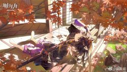 Rule 34 | 1girl, against railing, animal ear fluff, animal ears, arknights, arm up, artist name, asymmetrical gloves, autumn leaves, black hair, black kimono, bracelet, braid, closed mouth, copyright name, day, dog ears, facial mark, falling leaves, fingerless gloves, forehead mark, full body, gloves, hair ribbon, highres, infection monitor (arknights), japanese clothes, jewelry, kimono, knee pads, leaf, long hair, long sleeves, looking afar, looking up, maple leaf, mismatched gloves, no shoes, outdoors, pants, parted bangs, purple gloves, purple pants, railing, red gloves, ribbon, saga (arknights), side braid, solo, sunlight, tree, very long hair, weapon bag, weibo watermark, white legwear, wooden floor, yellow eyes, yellow ribbon